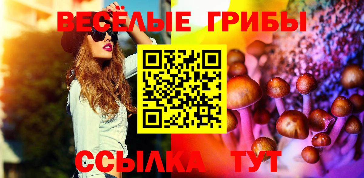 где найти наркотики  Вход с VPN  Нефтекамск  Псилоцибиновые грибы Cubensis  Псилоцибиновые грибы Psilocybine cubensis 