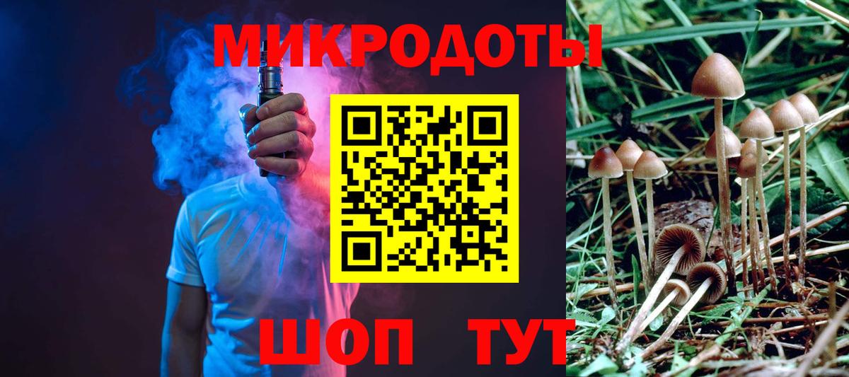 Галлюциногенные грибы Psilocybe Нефтекамск